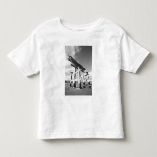 Asia, Japan, Miyajima. The Torri Gate. Toddler T-shirt