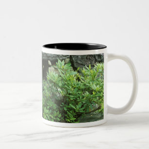 Asia, Japan, Nagasaki, Hirado, Samurai Residence Two-Tone Coffee Mug