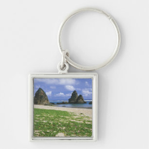 Asia, Japan, Okinawa, Yambaru Coastline, Sea Keychain