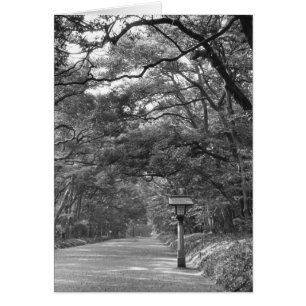 Asia, Japan, Tokyo, Grounds of Meiji Shrine,