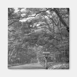 Asia, Japan, Tokyo, Grounds of Meiji Shrine, Magnet