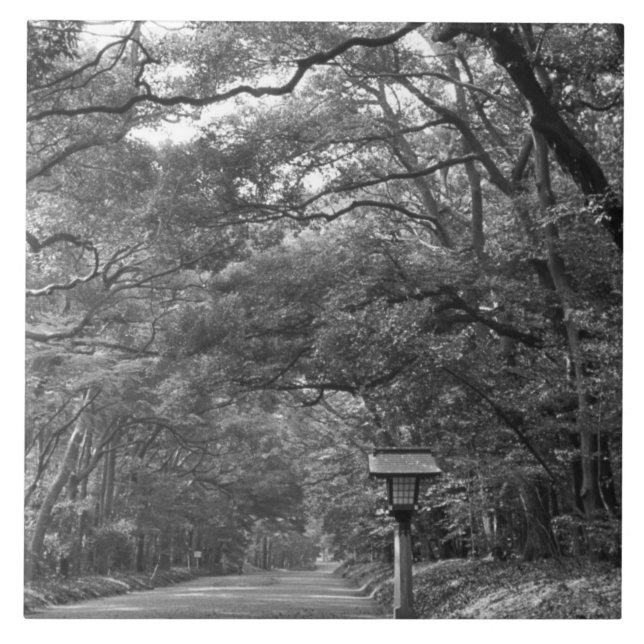 Asia, Japan, Tokyo, Grounds of Meiji Shrine, Tile (Front)