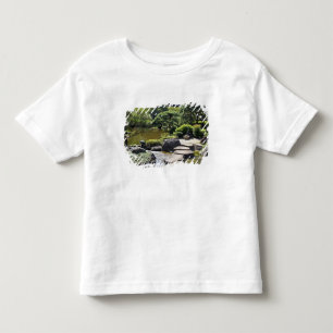 Asia, Japan, Tokyo. The Japanese Garden at the Toddler T-shirt