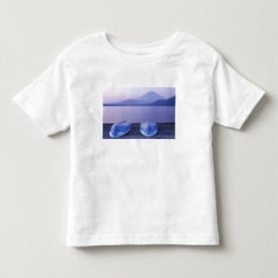 Asia, Japan, Yamanashi, Rowboats on Motosu Lake Toddler T-shirt