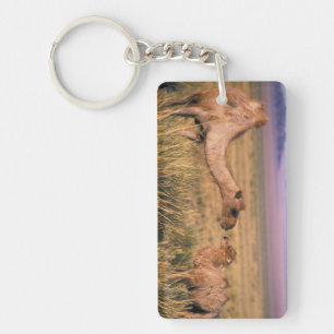 Asia, Mongolia, Gobi Desert, Great Gobi Keychain