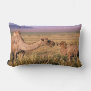 Asia, Mongolia, Gobi Desert, Great Gobi Lumbar Pillow