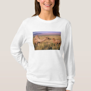 Asia, Mongolia, Gobi Desert, Great Gobi T-Shirt