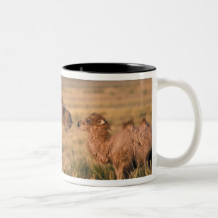 Asia, Mongolia, Gobi Desert, Great Gobi Two-Tone Coffee Mug