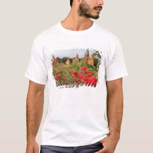 Asia, Myanmar (Burma), Bagan (Pagan). A Bagan T-Shirt