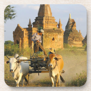 Asia, Myanmar (Burma), Bagan (Pagan). A cart is Coaster