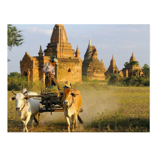 Asia, Myanmar (Burma), Bagan (Pagan). A cart is Postcard