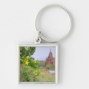 Asia, Myanmar (Burma), Bagan (Pagan). Cows Keychain