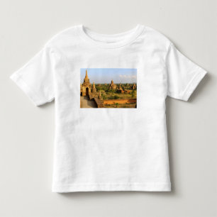 Asia, Myanmar (Burma), Bagan (Pagan). Various Toddler T-shirt