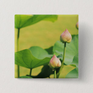 Asia, Thailand, Bangkok. Grand Palace, lotus 2 Inch Square Button