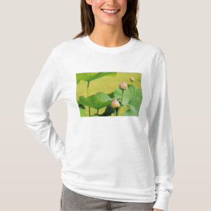 Asia, Thailand, Bangkok. Grand Palace, lotus T-Shirt