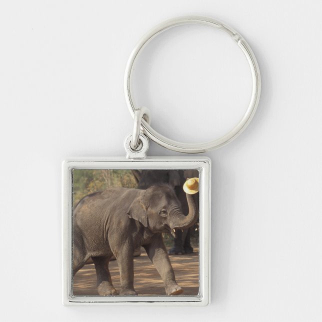 Asia, Thailand, Lampang Bowing with hat - Thai Keychain (Front)