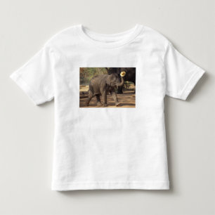 Asia, Thailand, Lampang Bowing with hat - Thai Toddler T-shirt