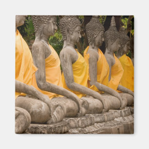 Asia, Thailand, Siam, Buddhas at Ayutthaya Magnet
