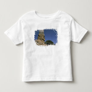 Asia, Yemen, Wadi Dhar. Rock Palace, or Dar Al Toddler T-shirt