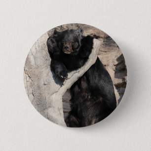 Asian Black Bear 2 Inch Round Button
