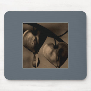 Asian Bleeding-Heart Floral Portrait Art Photo Mouse Pad