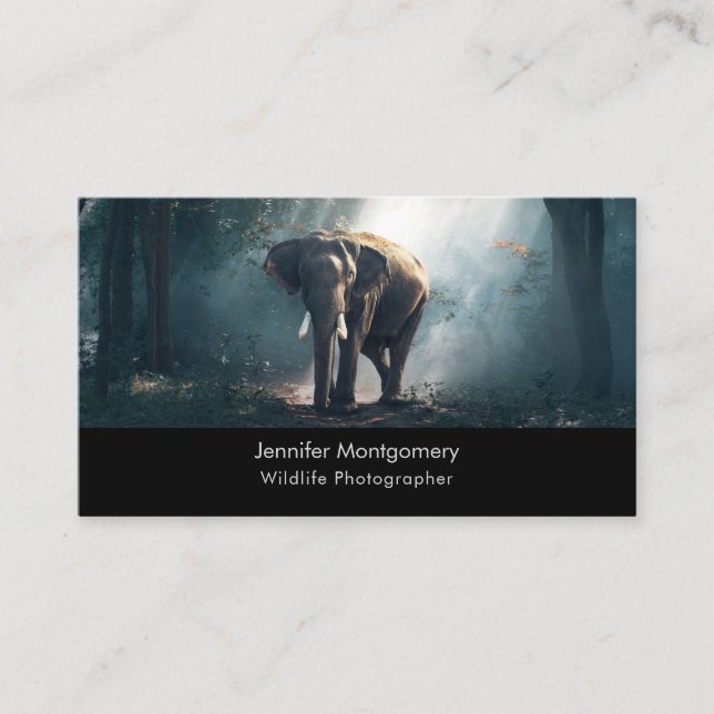 Asian Elephant in a Sunlit Forest Clearing Business Card (Front)