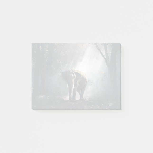 Asian Elephant in a Sunlit Forest Clearing Post-it Notes (Front)