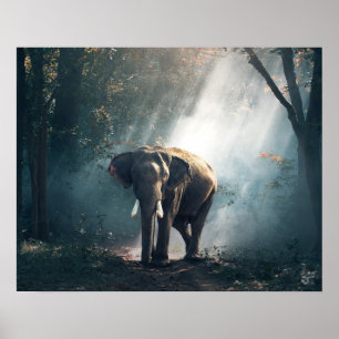 Asian Elephant in a Sunlit Forest Clearing Poster