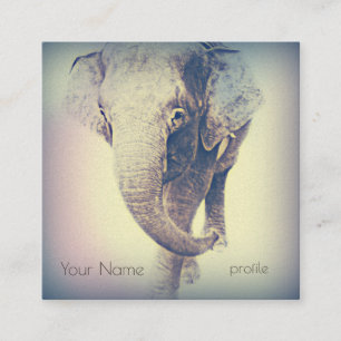 Asian Elephant in Vintage Colours Square Business Card