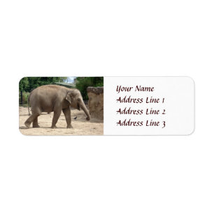 Asian Elephant Walking On Sand Return Address