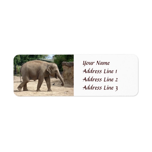 Asian Elephant Walking On Sand Return Address (Front)