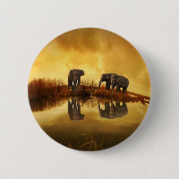 Asian Elephants in Thailand under a glowing sunset