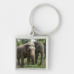 Asian Elephants Side by Side Keychain