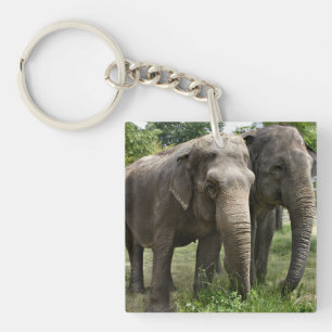 Asian Elephants Side by Side Keychain