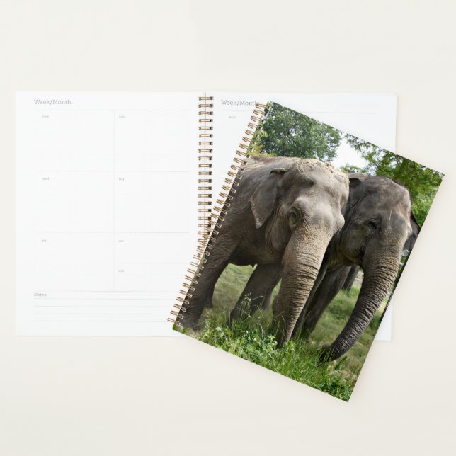Asian Elephants Side by Side Planner (Display)