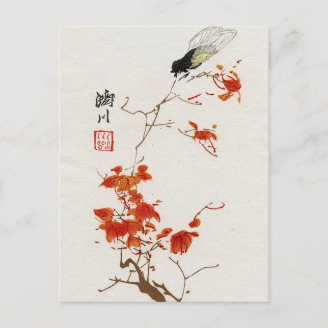 Asian Flower Blossom Vintage Postcard (Front)