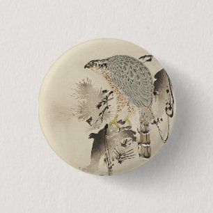 Asian Goshawk - 1890 1 Inch Round Button