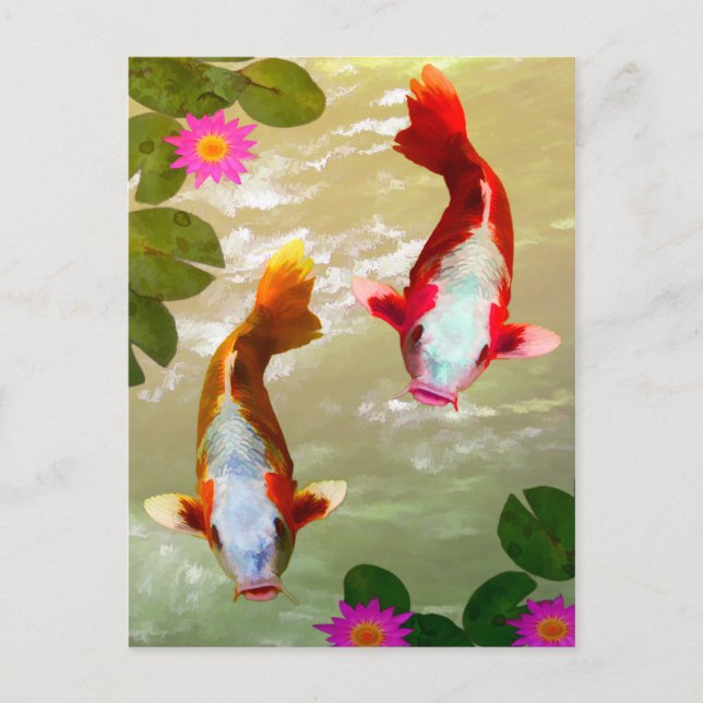 Asian Koi Fish Carp Digital Art Postcard (Front)