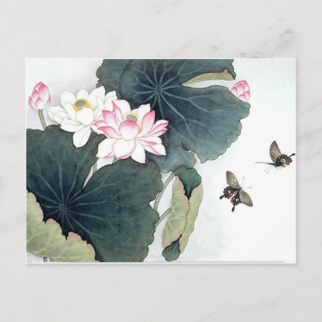 Asian Lotus Leaf Pink Flower Butterfly Art Cool Postcard (Front)