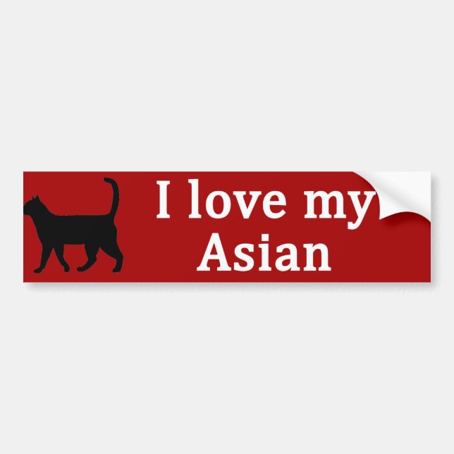 Asian Love Bumper Sticker (Front)