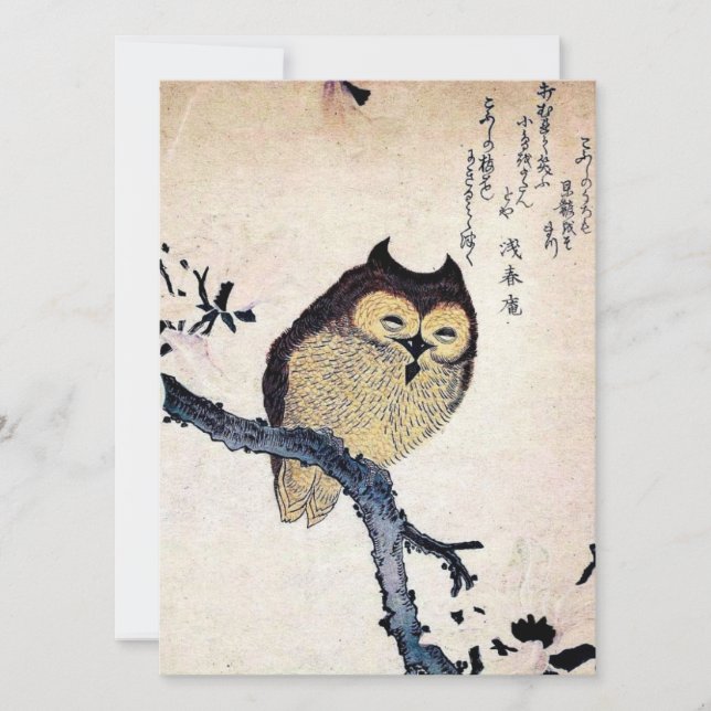 Asian Owl (Front)