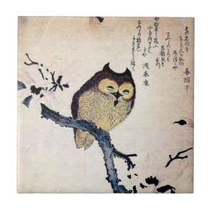Asian Owl Tile