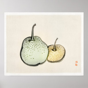 Asian pears by Kōno Bairei (1844-1895) Poster