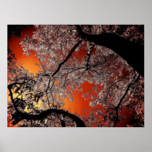 Asian skies poster