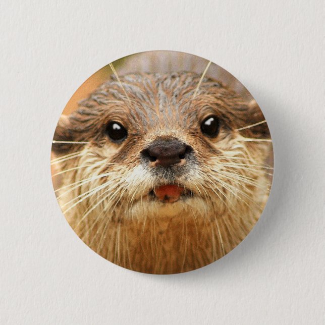 Asian Small Clawed Otter 2 Inch Round Button (Front)
