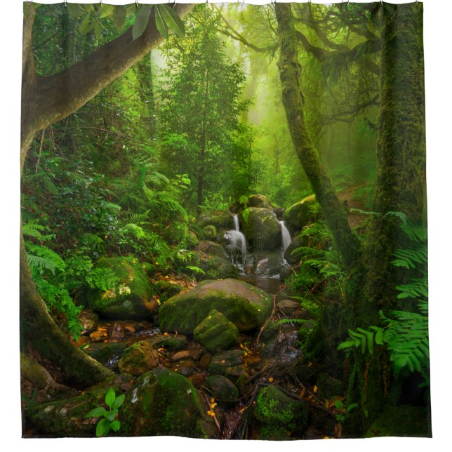 Asian tropical rainforestjungle,forest,environment (Front)