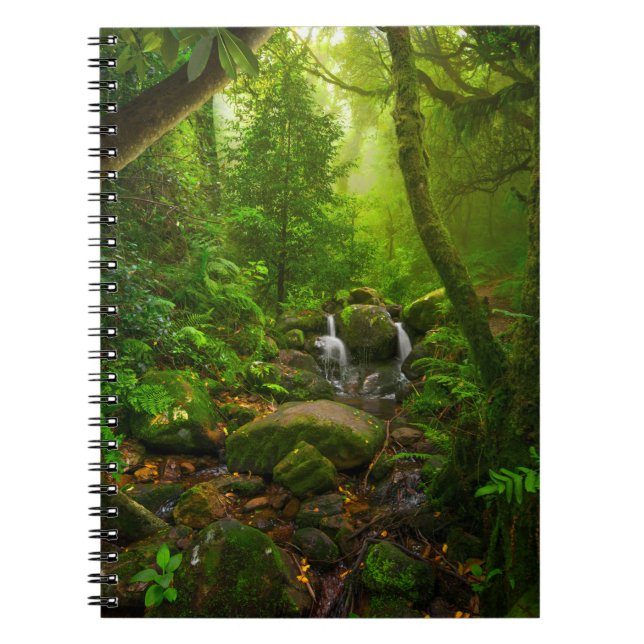 Asian tropical rainforestjungle,forest,environment notebook (Front)
