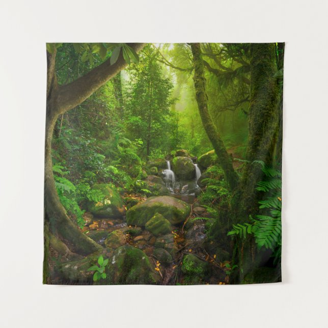 Asian tropical rainforestjungle,forest,environment tapestry (Front)