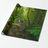 Asian tropical rainforestjungle,forest,environment