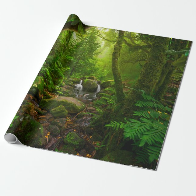 Asian tropical rainforestjungle,forest,environment wrapping paper (Unrolled)